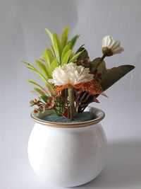 Close-up of white flower in vase
