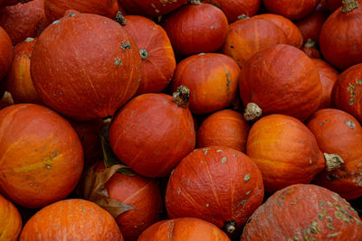 Full frame shot of pumpkins at market stall