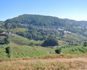 Scenic view of landscape against clear sky