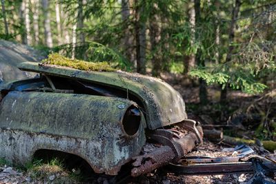 Abandoned car in forest