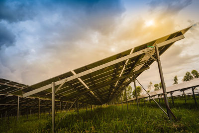 Low angle view of plants on field against sky