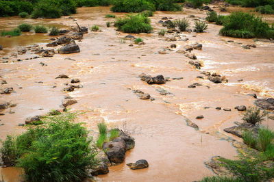 Scenic view of river flowing through land