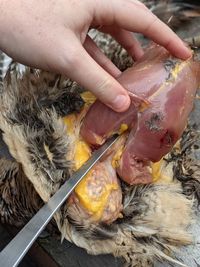 High angle view of hand holding ice cream