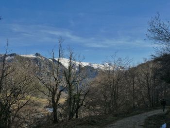 Bare trees on landscape against sky