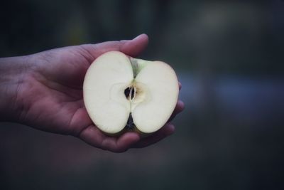 Close-up of hand holding apple