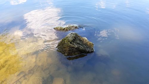 Reflection in sea