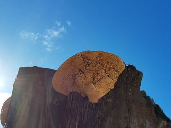 Low angle view of built structure against blue sky