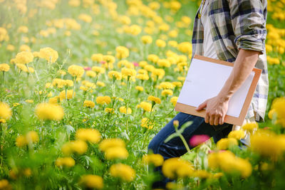 Full length of man standing on yellow flower field