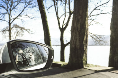 Reflection of bare trees on side-view mirror