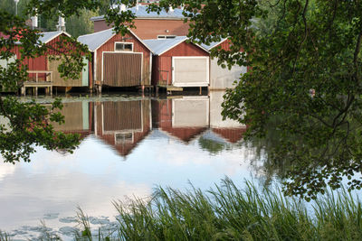 Reflection of trees in water