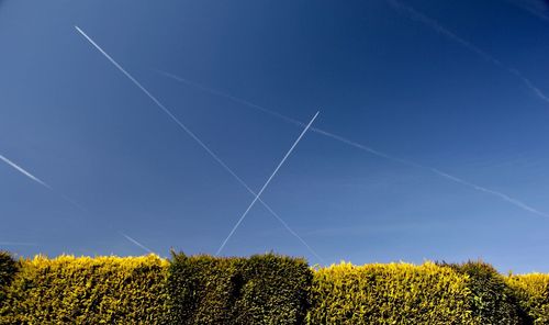 Scenic view of field against clear blue sky