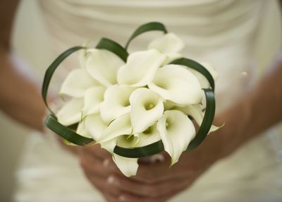 Close-up of hand holding white flower