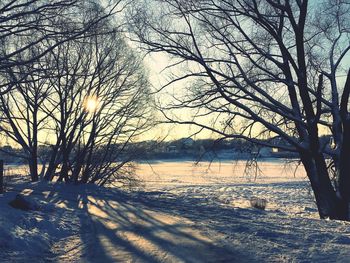 Bare trees on snow covered land against sky