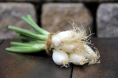 Close-up of spring onions