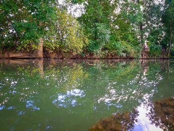 Scenic view of lake in forest