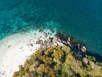 High angle view of coral on beach