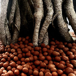 Full frame shot of fruits for sale in market