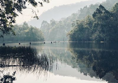 Scenic view of lake by trees against sky