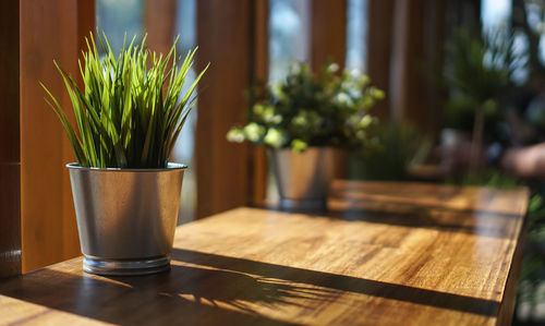 Close-up of potted plant on table