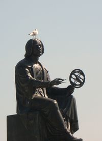 Bird pooping on head