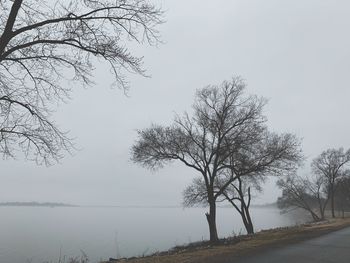 Bare tree by lake against sky during winter