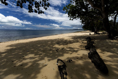 Scenic view of beach against sky