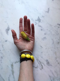Yellow flower in a woman's hand