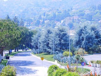 Road amidst trees and mountains