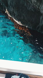 Swimming pool in sea