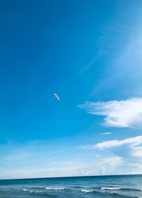 Seagull flying over sea against sky