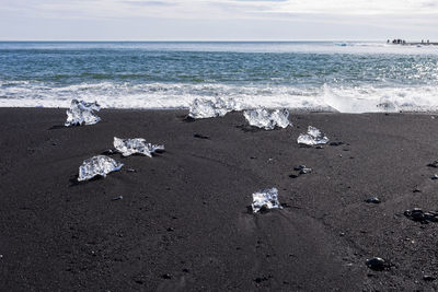 Pieces of icebergs carried by the current into the beach