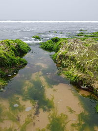 High angle view of sea shore against sky