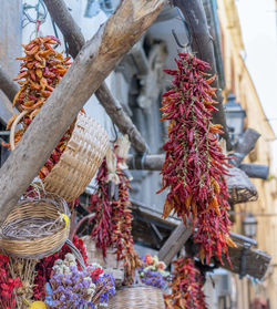 Low angle view of decorations hanging in market stall