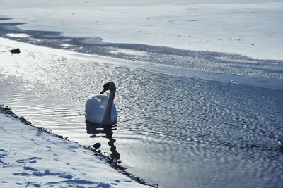 Rear view of man walking on beach