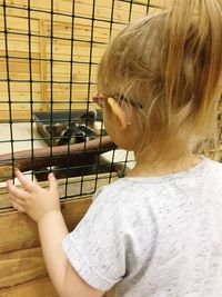 Close-up of girl looking at raccoon