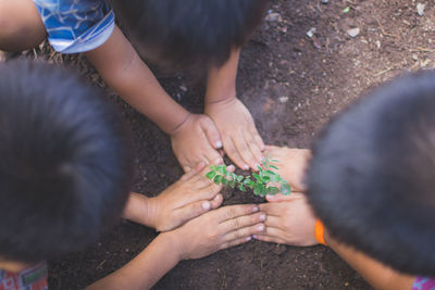 High angle view of people on hands