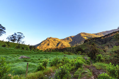 Scenic view of mountains against clear blue sky