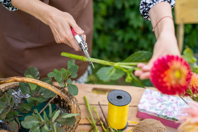 Florist's workflow, pruning dahlia leaves with pruning shears