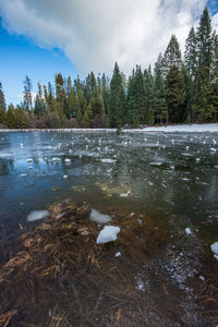 Scenic view of lake against sky during winter