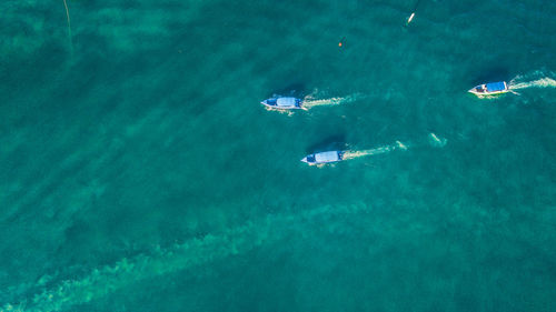 High angle view of people swimming in sea