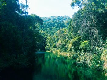 Scenic view of lake