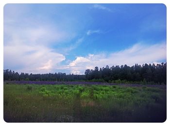 Scenic view of grassy field against cloudy sky