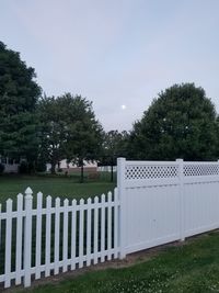 Trees growing on field against sky