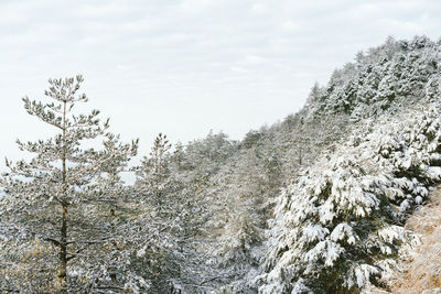 Scenic view of snow covered land against sky