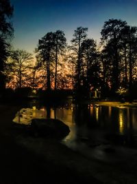 Reflection of trees in lake