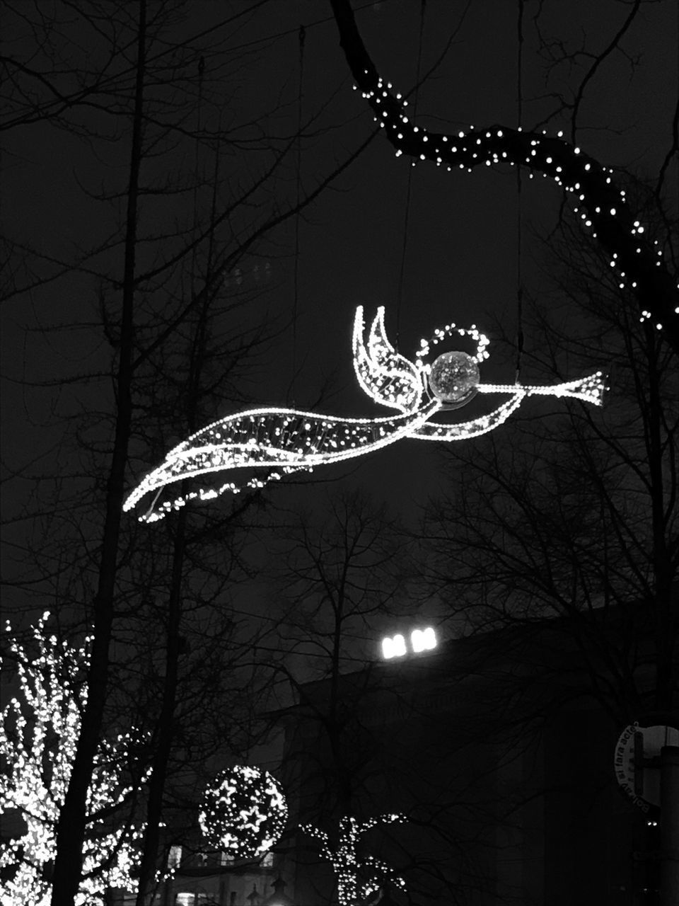 LOW ANGLE VIEW OF ILLUMINATED LIGHTING EQUIPMENT ON TREE