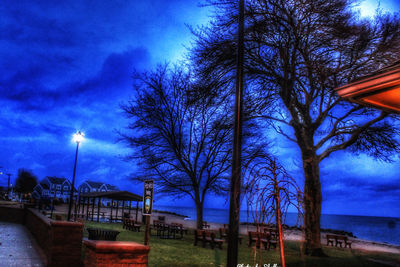 Bare trees by street against blue sky at dusk