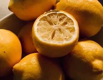 Close-up of oranges