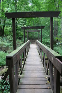 Wooden footbridge in forest