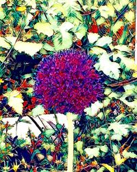 Close-up of flowers on field